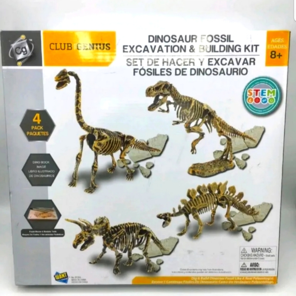 Fossil kit